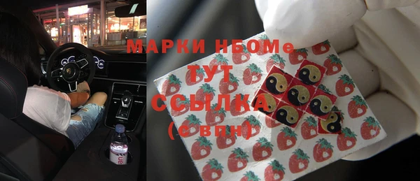 хмурый Алексин
