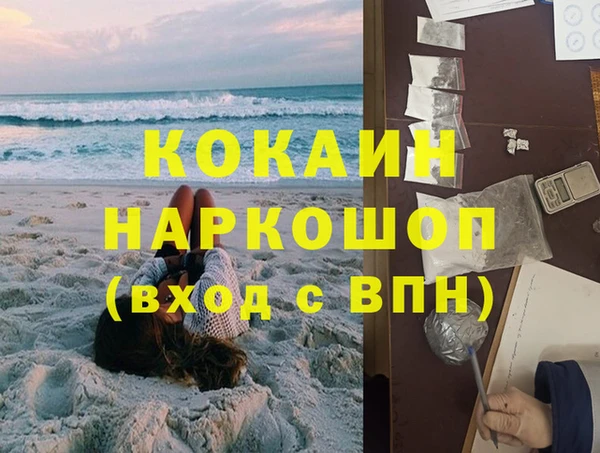 хмурый Алексин