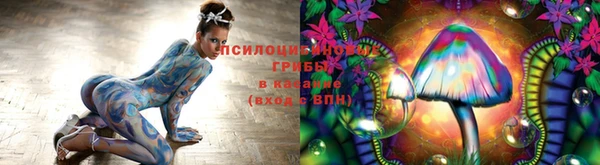 твердый Алзамай