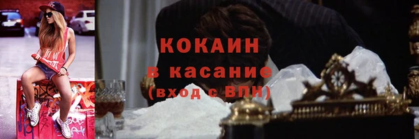твердый Алзамай