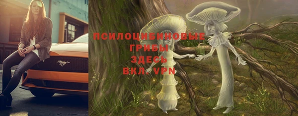твердый Алзамай