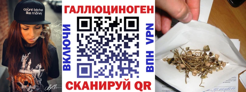 ссылка на мегу маркетплейс  Углегорск  Псилоцибиновые грибы Psilocybe 